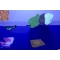 Why Am I Underwater?