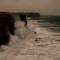An Endless Wave of Waves