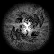 Cult of Occult / Grim van Doom