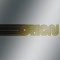 Orion