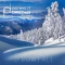 Snowfall