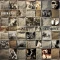 Snapshots