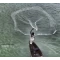Casting Nets