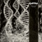 Dissonance Theory