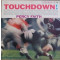 Touchdown!