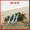 This Is Our Christmas Album