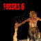 Fossils 6