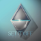 Duality
