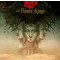 Desolation Rose