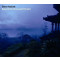 Beyond the Shrouded Horizon