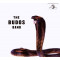 The Budos Band III