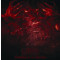 Revelations of the Black Flame