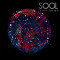 Sool