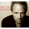 Gift of Screws