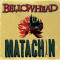 Matachin