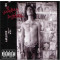 Mickey Avalon