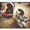 Blitzen Trapper