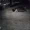 Naked City