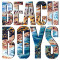 The Beach Boys