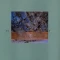 Extractions