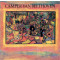 Camper Van Beethoven