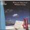 Without a Song