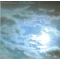 In the Skies