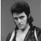 Alvin Stardust