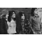 T. Rex (band)
