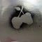 Silver Apples