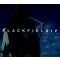Blackfield IV