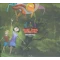 Pandora's Piñata