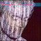 Feargal Sharkey