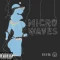 Microwaves
