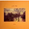 Lote Tree