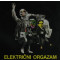 Električni orgazam