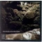 Carbon Stereoxide