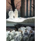 Lohengrin