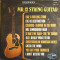Mr. 12 String Guitar