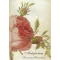 Rosarium Hermeticum