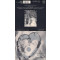 Die Liebe
