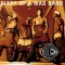 Diary of a Mad Band