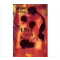 Hitomi (John Fahey album)