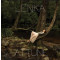 Attune