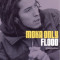 Flood