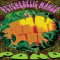Psychedelic Mango