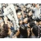 Muzai Moratorium無罪モラトリアム