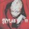 Skylab III