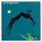Arc of a Diver