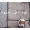 Walking Home